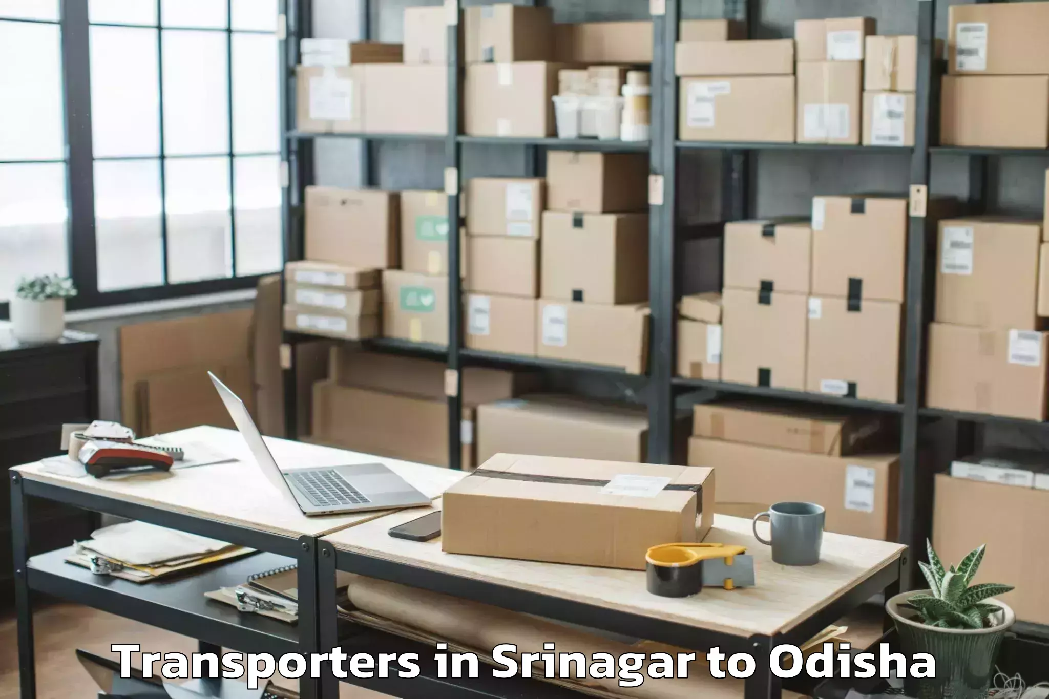 Top Srinagar to Sunabeda Transporters Available